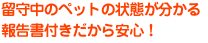 留守中のペットの状態が分かる報告書付きだから安心！